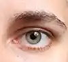 Top Eye Drops for Dry Eyes in India 2025
